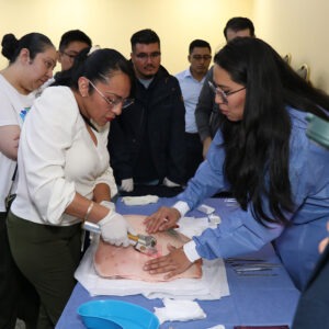 Pago de Diplomado en una sola exhibición